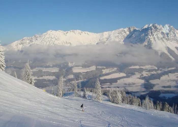 Appartement Alpina Scheffau am Wilden Kaiser